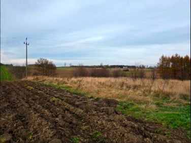 Działka budowlana Kornowac