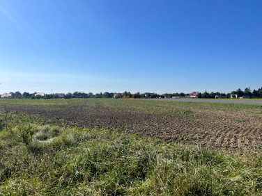 Działka Lutynia