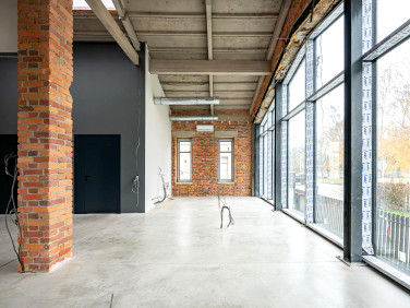 Lokal Wrocław