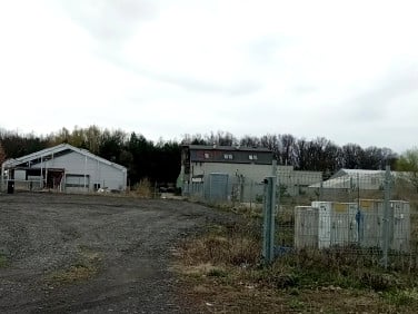Działka inwestycyjna Byków wynajmę