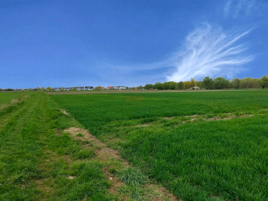 Działka Siechnice