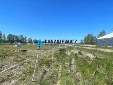 Lokal Przemysław