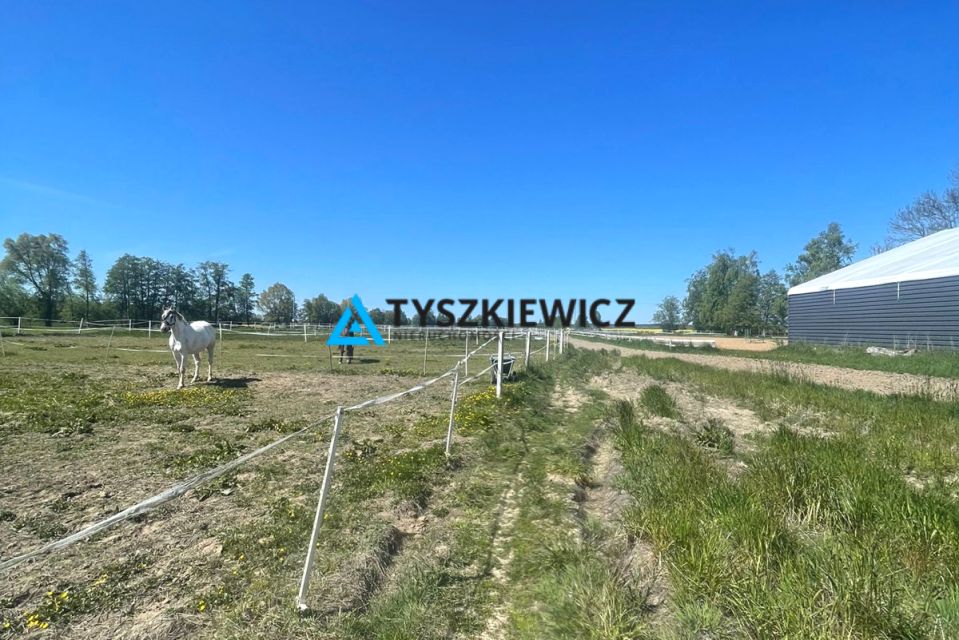 Lokal Przemysław