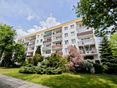 Mieszkanie Łódź