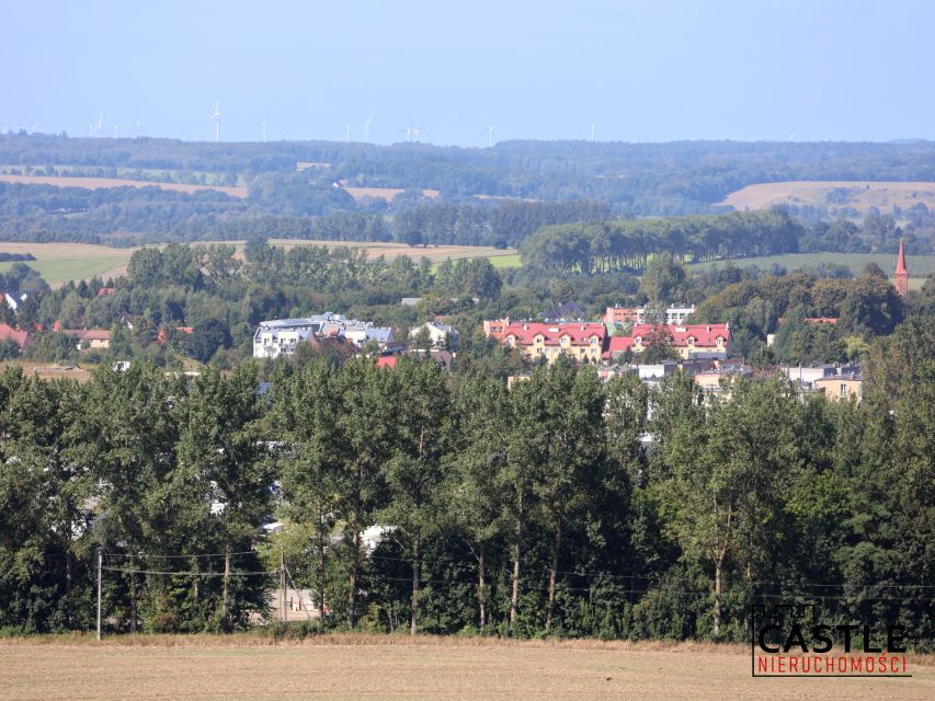 Zdjęcie 3