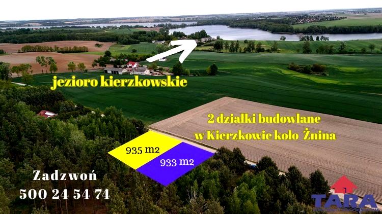 Działka Kierzkowo
