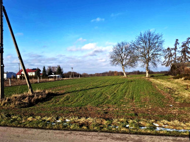 Działka budowlana Piotrawin