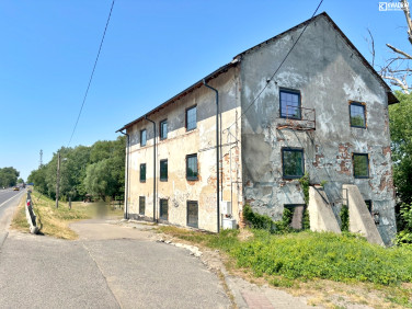 Budynek użytkowy Kurów