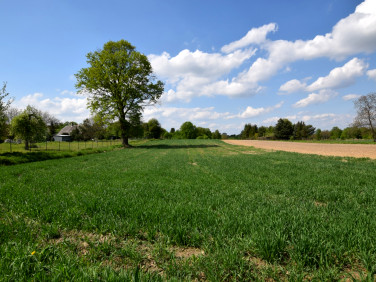 Działka budowlana Kazimierz Dolny