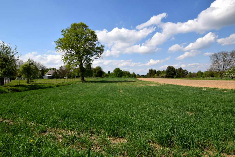 Działka budowlana Kazimierz Dolny