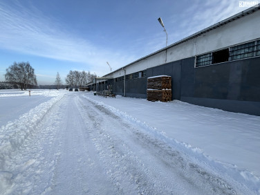 Budynek użytkowy Radzyń Podlaski