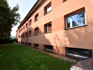Lokal Włodawa