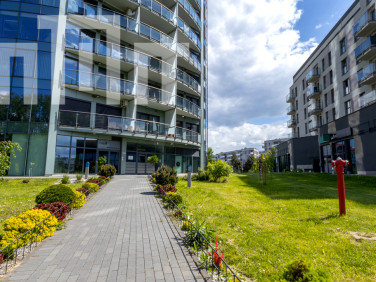 Lokal Rzeszów
