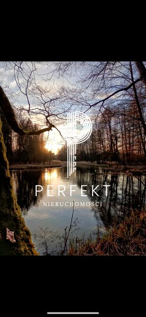 Działka leśna Steklno