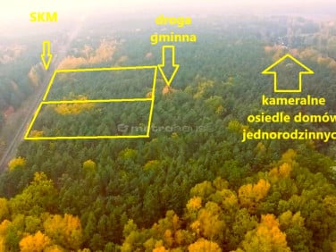 Działka leśna Wólka Radzymińska