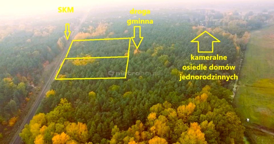 Działka leśna Wólka Radzymińska