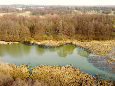 Działka rolna Arciechów