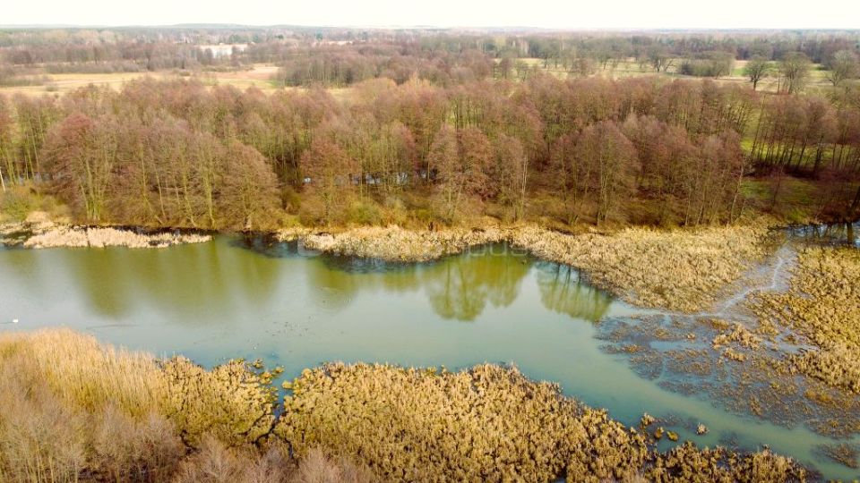 Działka rolna Arciechów