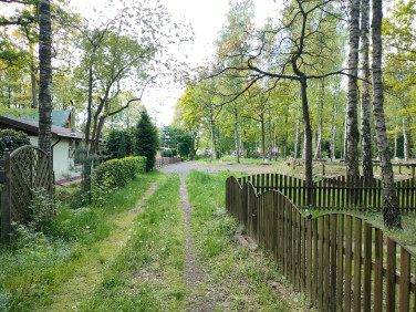 Działka nad jeziorem