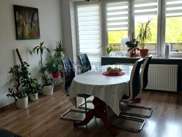 Mieszkanie Legnica