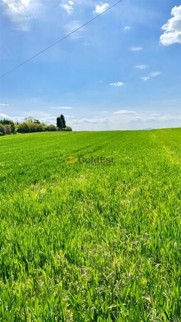 Działka usługowa Witków