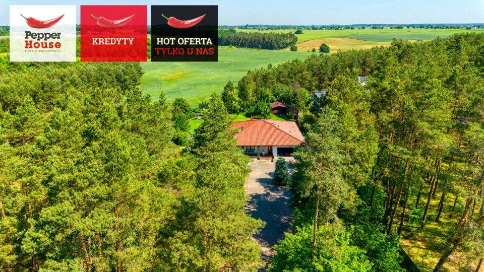 Dom Dąbrówka Nowa