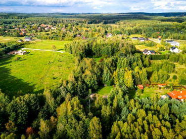 Działka Jary