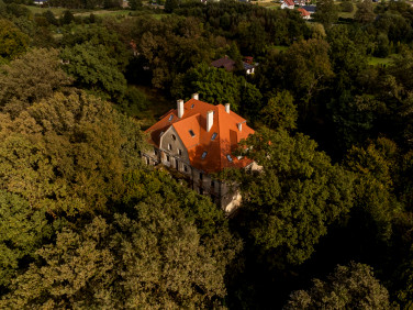 Dom Wilków