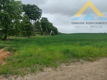 Działka Raduń