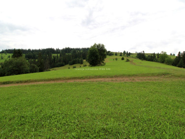 Działka rolna Rzepiska sprzedam