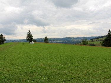 Działka Rzepiska