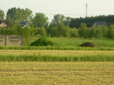 Działka budowlana Załuski