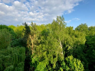 Mieszkanie Kraków