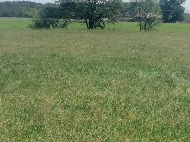 Działka budowlana Karolinowo