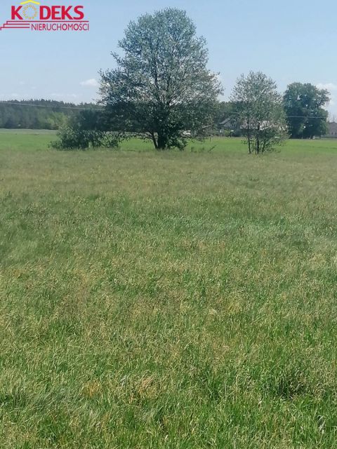Działka budowlana Karolinowo