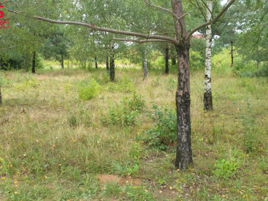 Działka budowlana Skrzeszew
