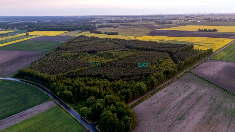 Działka leśna sprzedam