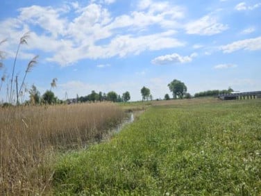 Działka rekreacyjna Sońsk