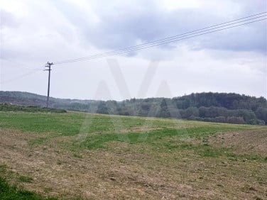Działka Krokowa