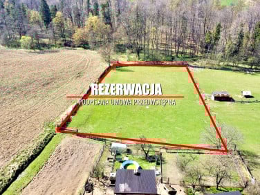 Działka rolna sprzedam