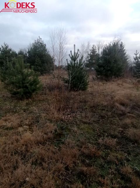 Działka budowlana Jachranka