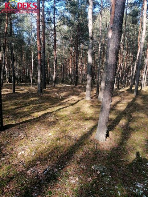 Działka leśna Wieliszew