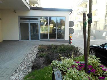 Lokal Piaseczno