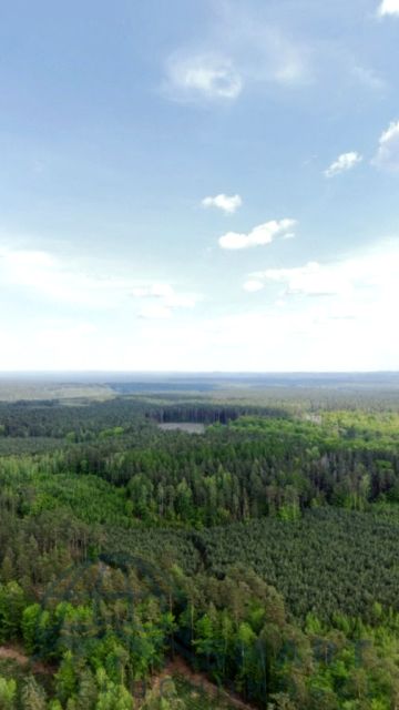 Działka KĘPICE