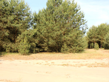 Działka Sława