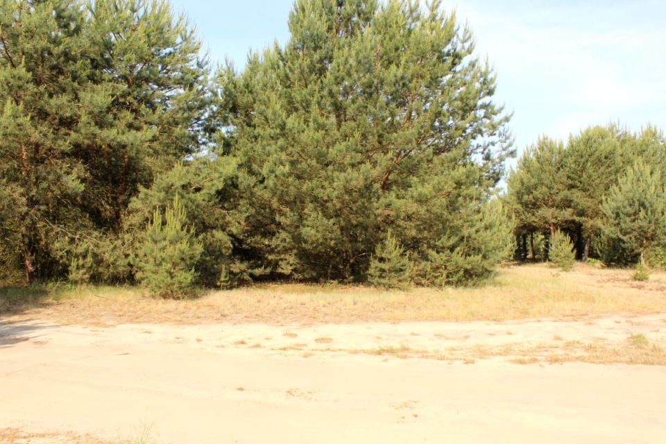 Działka Sława