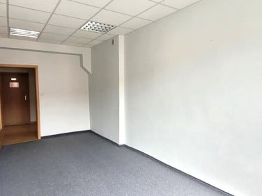 Lokal Szczecin