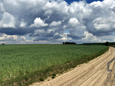 Działka rolna Świątniki