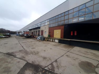 Budynek użytkowy Warszawa