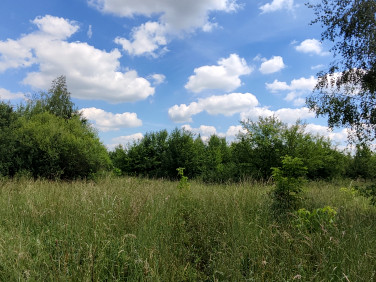Działka budowlana Lisówek